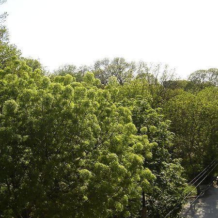 Central Park Family Hotel Kavarna Kültér fotó