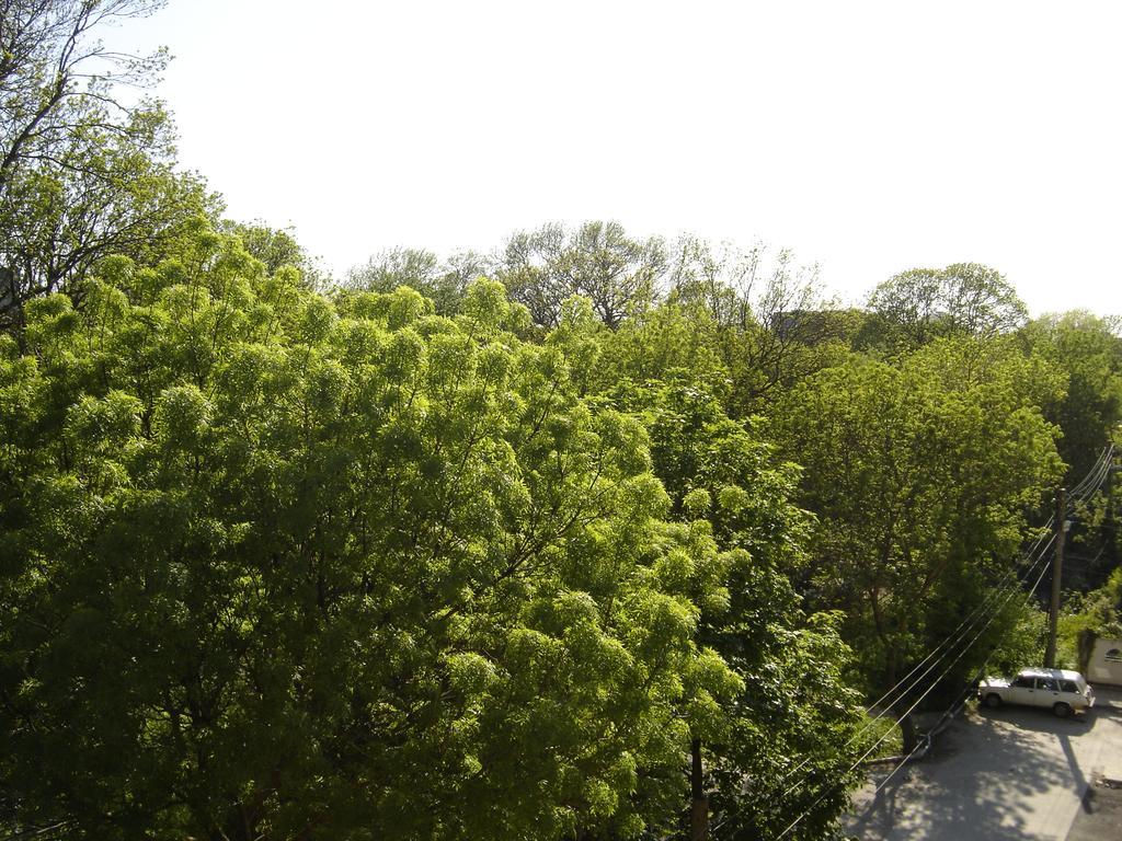 Central Park Family Hotel Kavarna Kültér fotó