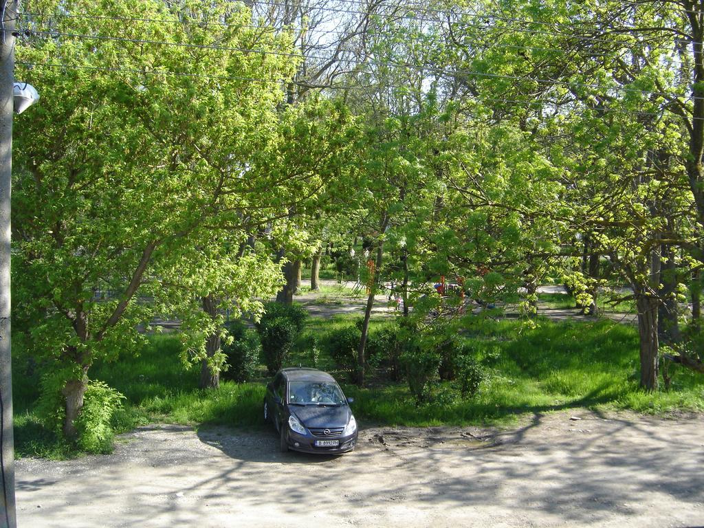 Central Park Family Hotel Kavarna Kültér fotó